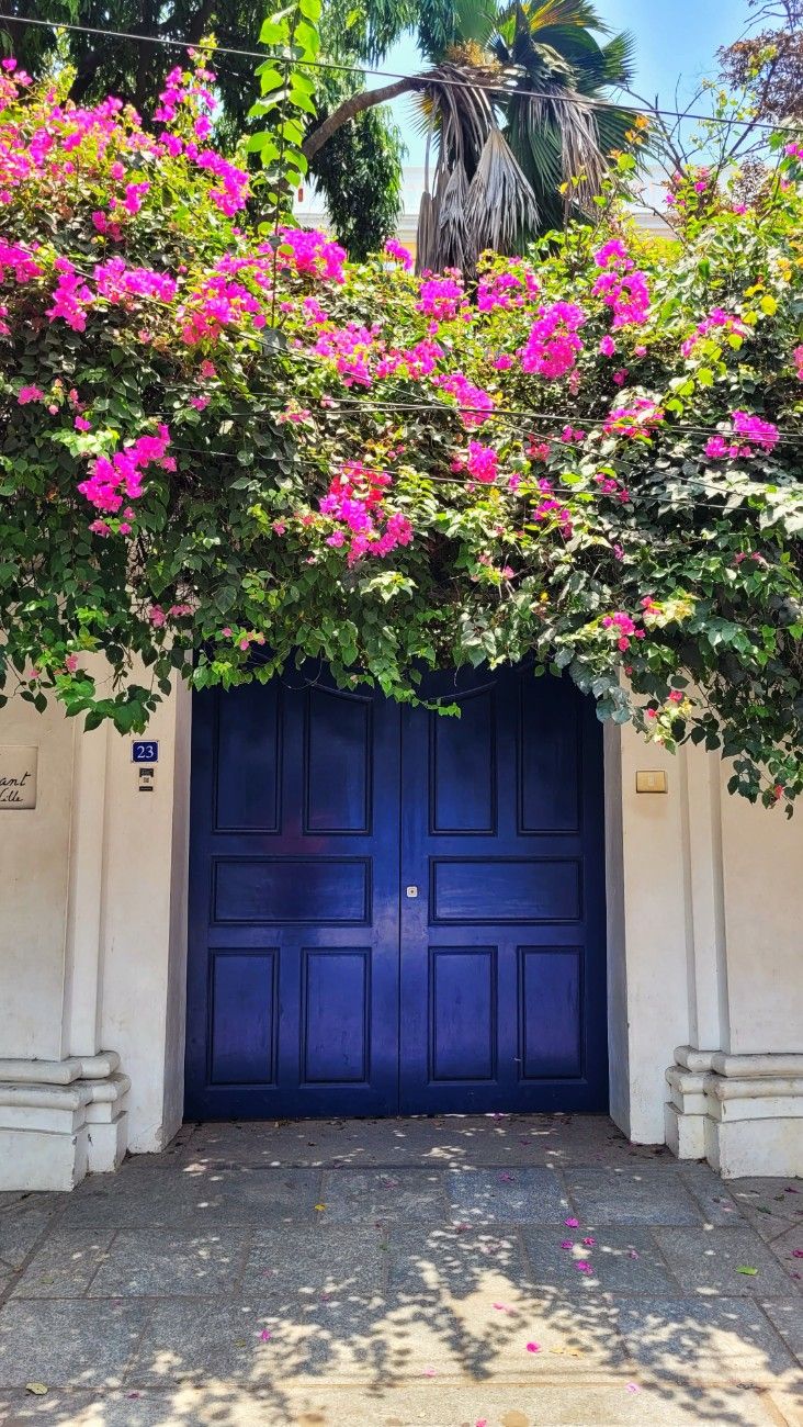 Photo from Kishore's journal 03