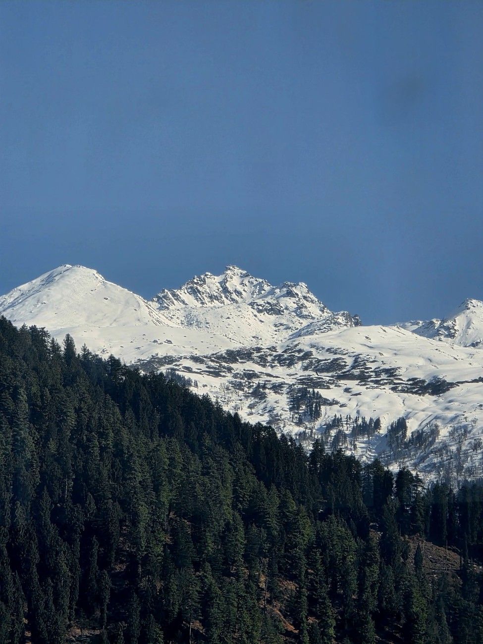 Photo from Kishore's journal 04