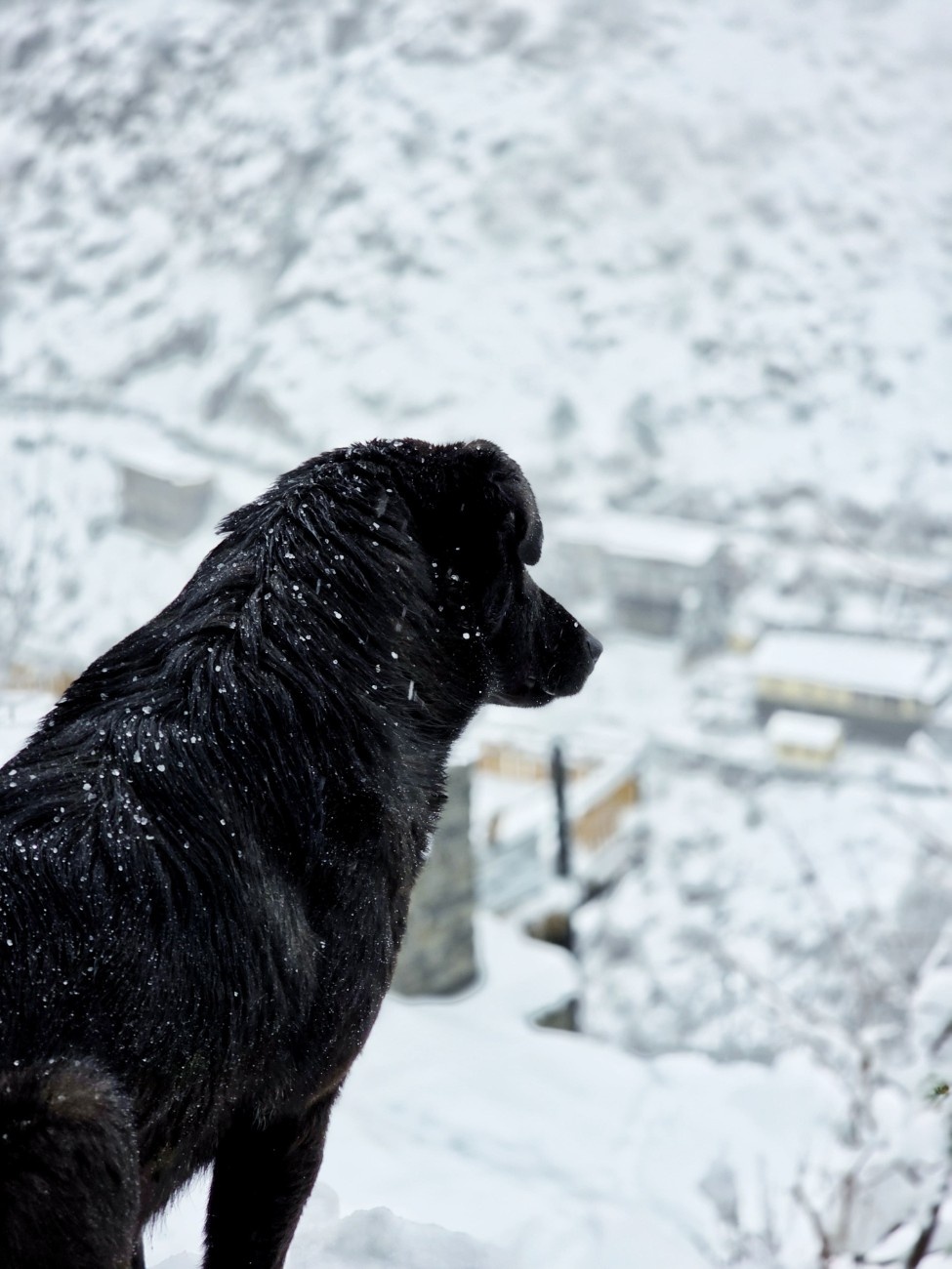 Photo from Kishore's journal 05