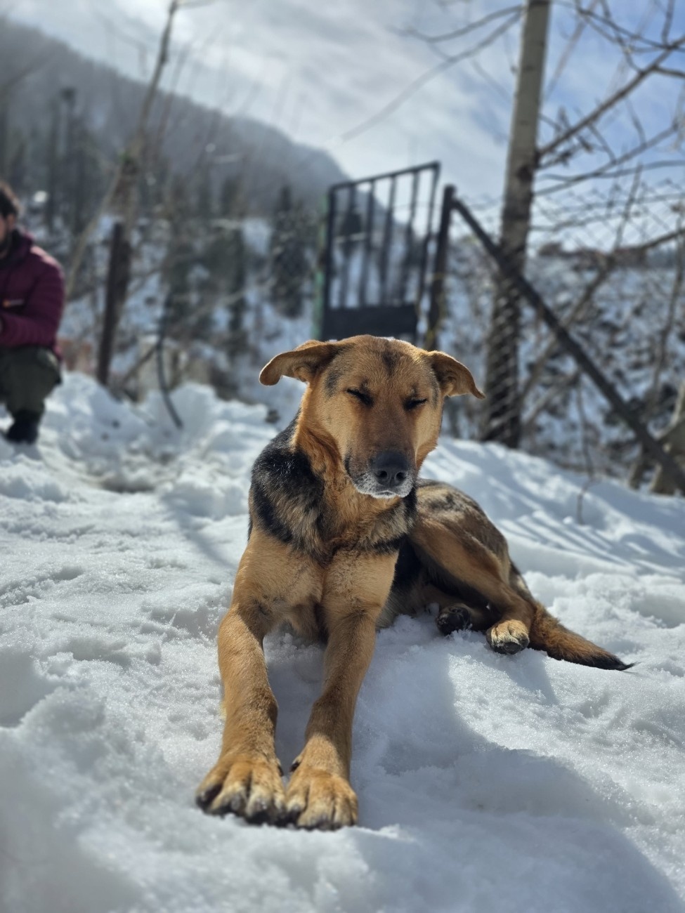 Photo from Kishore's journal 06