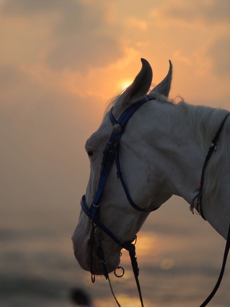 Photo from Kishore's journal 09