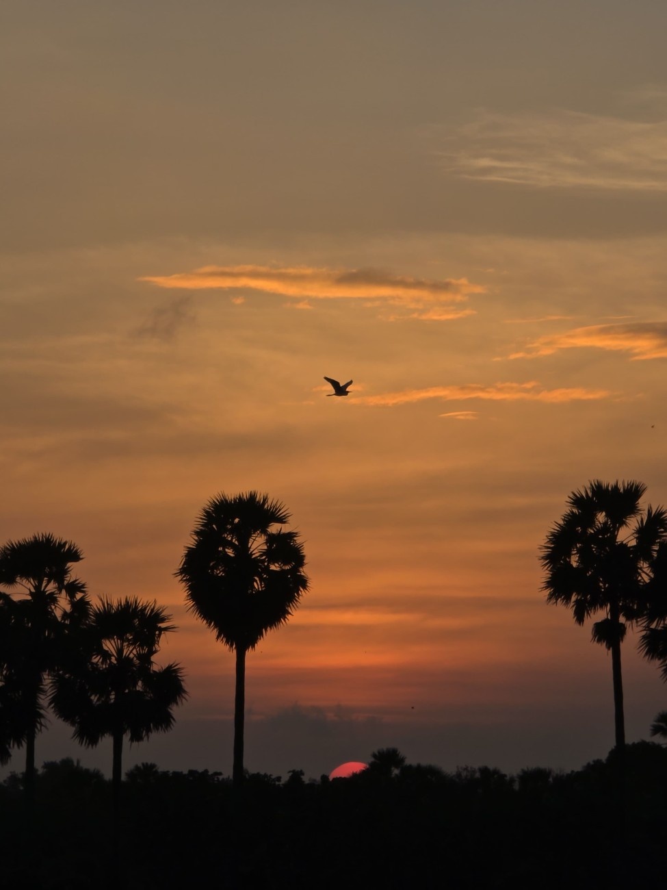 Photo from Kishore's journal 10