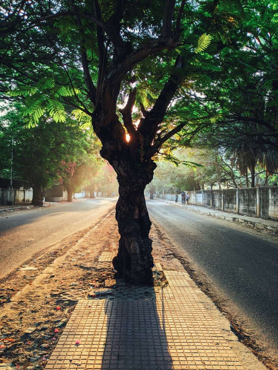 Photo from Kishore's journal 15