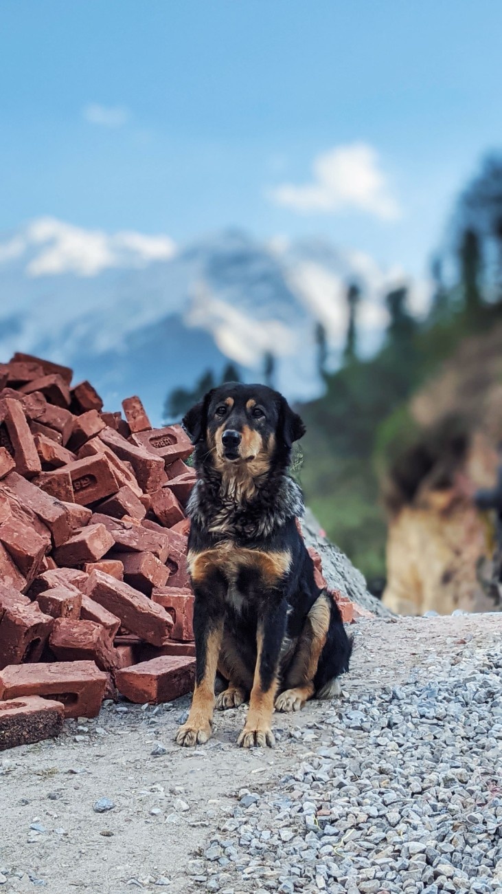 Photo from Kishore's journal 16